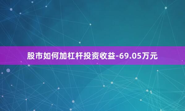 股市如何加杠杆投资收益-69.05万元