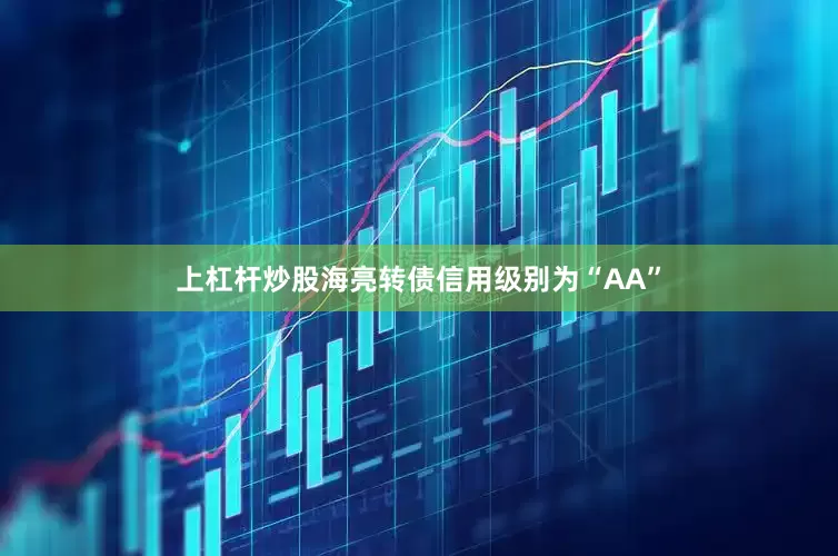 上杠杆炒股海亮转债信用级别为“AA”