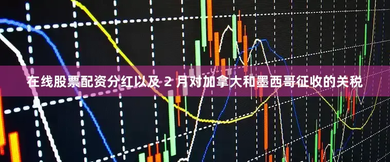 在线股票配资分红以及 2 月对加拿大和墨西哥征收的关税