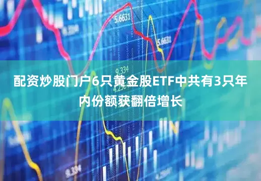 配资炒股门户6只黄金股ETF中共有3只年内份额获翻倍增长