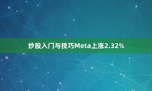 炒股入门与技巧Meta上涨2.32%