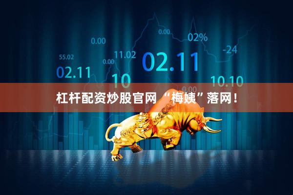 杠杆配资炒股官网 “梅姨”落网！