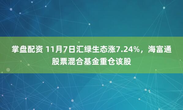 掌盘配资 11月7日汇绿生态涨7.24%，海富通股票混合基金重仓该股