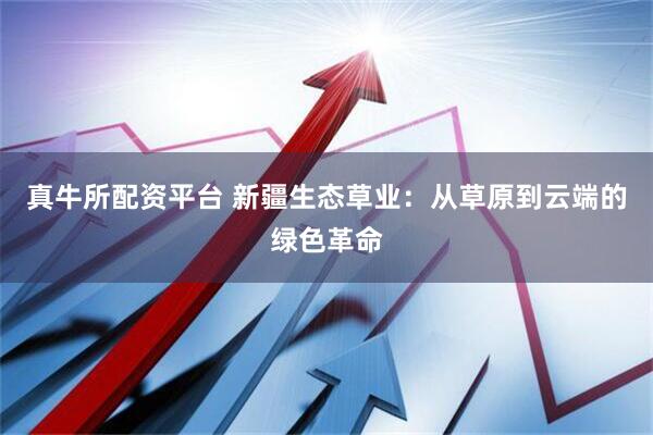 真牛所配资平台 新疆生态草业：从草原到云端的绿色革命