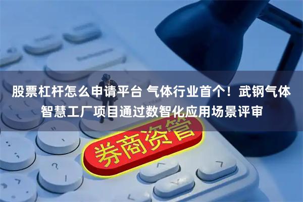 股票杠杆怎么申请平台 气体行业首个！武钢气体智慧工厂项目通过数智化应用场景评审