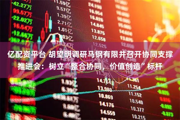 亿配资平台 胡望明调研马钢有限并召开协同支撑推进会：树立“整合协同，价值创造”标杆