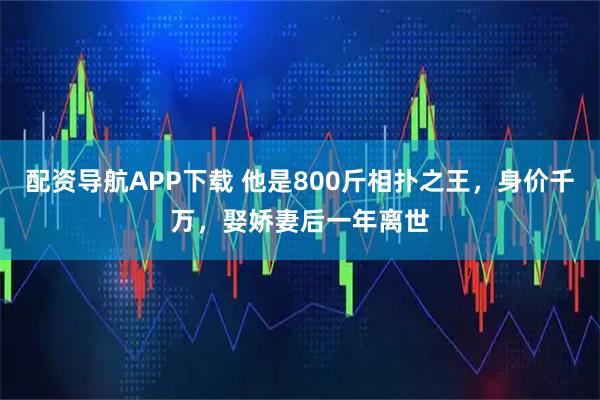 配资导航APP下载 他是800斤相扑之王，身价千万，娶娇妻后一年离世